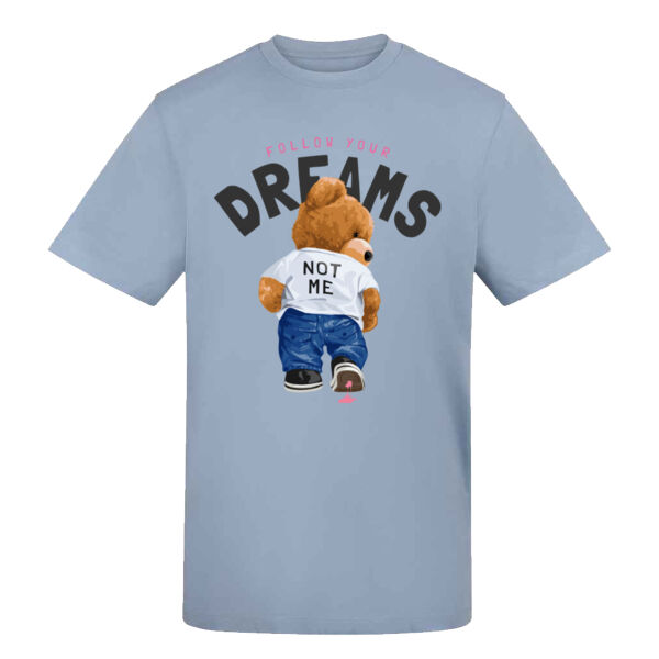 MS0019 Bear Follow Your Dream Thumbnail